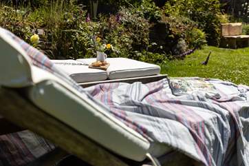 Enjoy the Devon sunshine on the comfy sun loungers.