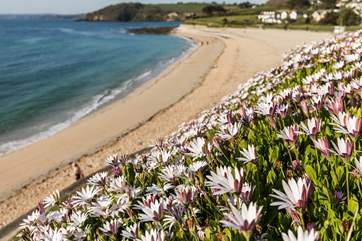Gylly beach is a short stroll away.
