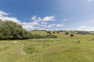 Your beautiful, tranquil surroundings.