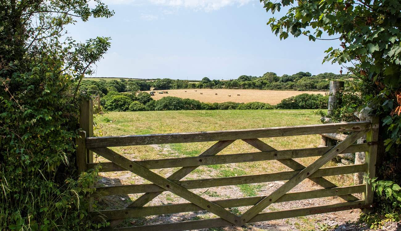 Blissful surrounding countryside with only birdsong, the odd tractor and the occasional bleat of a sheep for company.