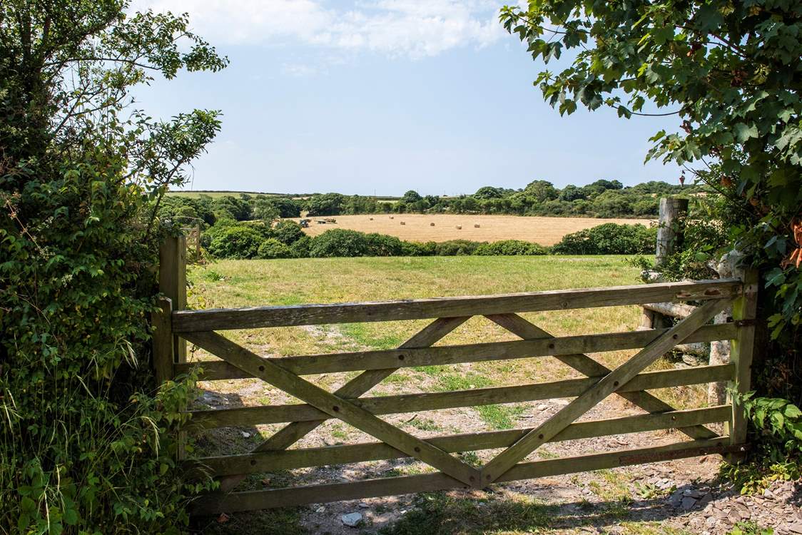 Blissful surrounding countryside with only birdsong, the odd tractor and the occasional bleat of a sheep for company.