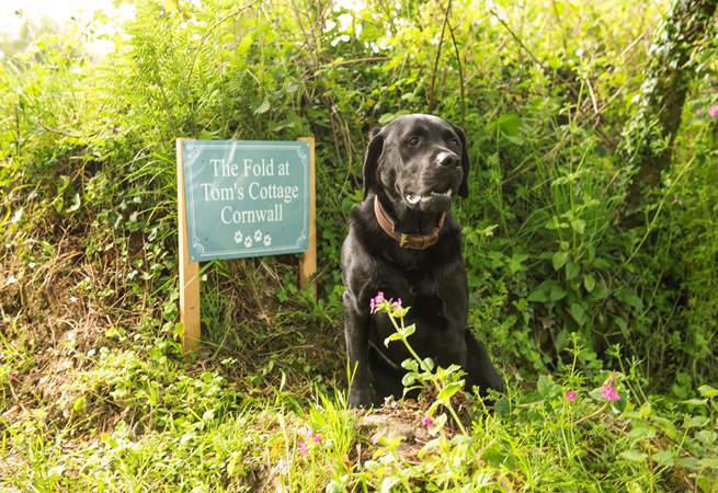 They will love their stay at Tom's Cottage.
