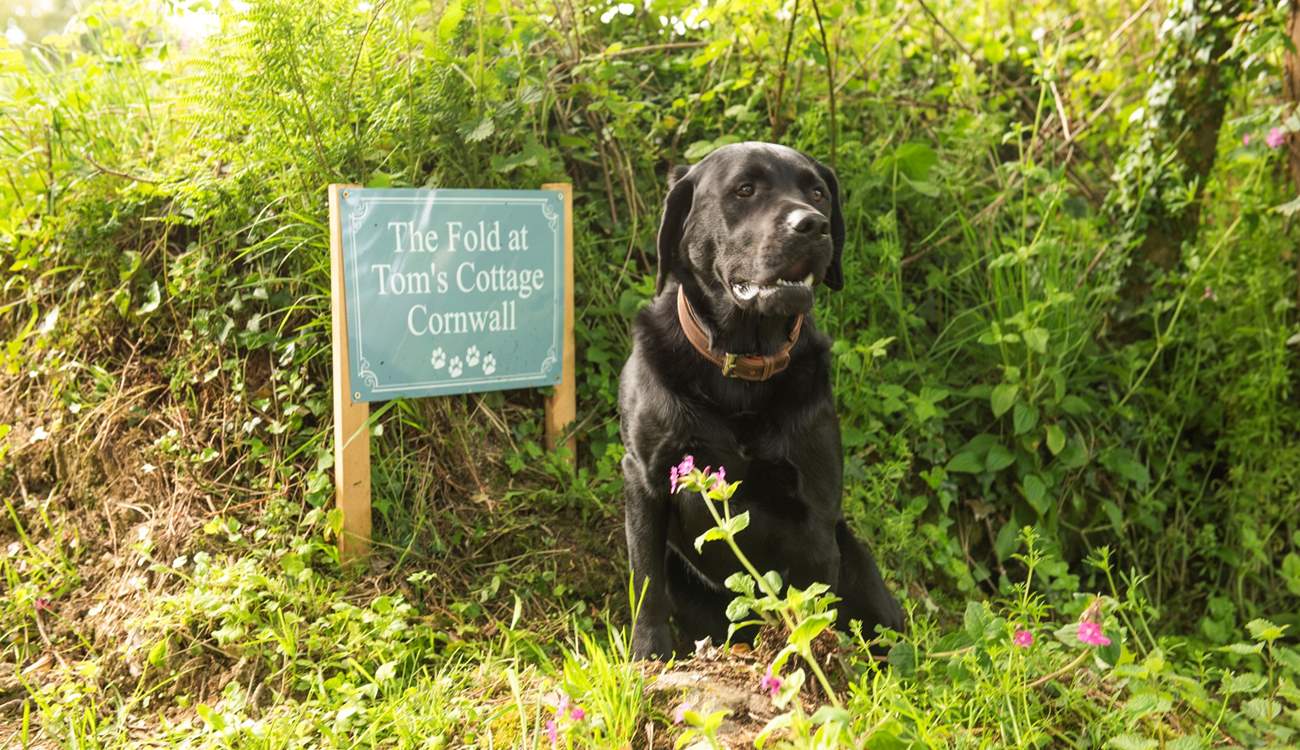 They will love their stay at Tom's Cottage.