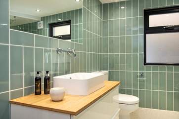 The stylish shower-room.