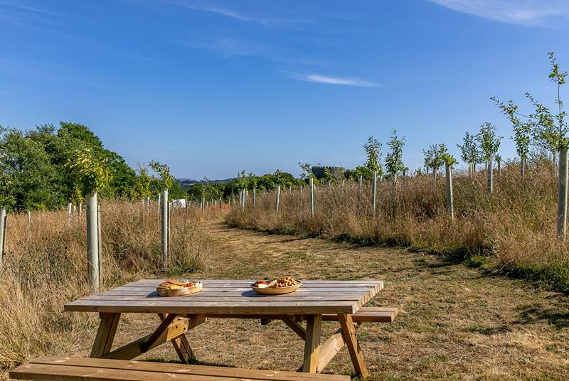 You will find lovely picnic spots within the grounds with perfect views!