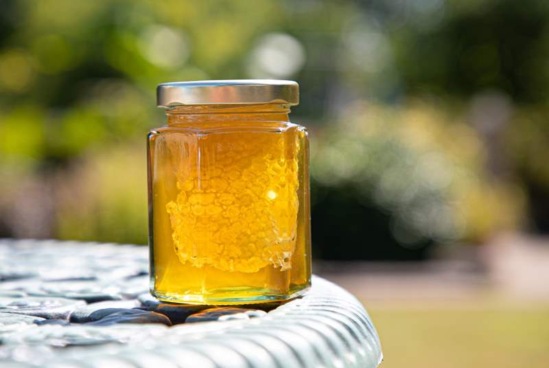 Sample some of the delicious honey that is produced on site by the owners!