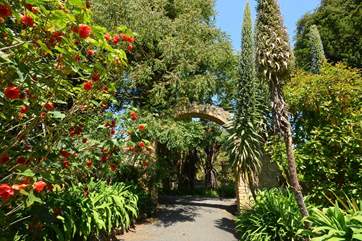 Ventnor Botanic Gardens are simply delightful throughout the year.