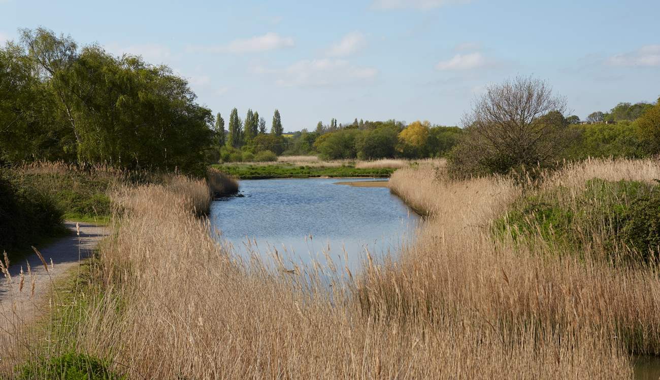 The Hersey Nature Reserve, Seaview is a short stroll away and a great place to spot island wildlife.