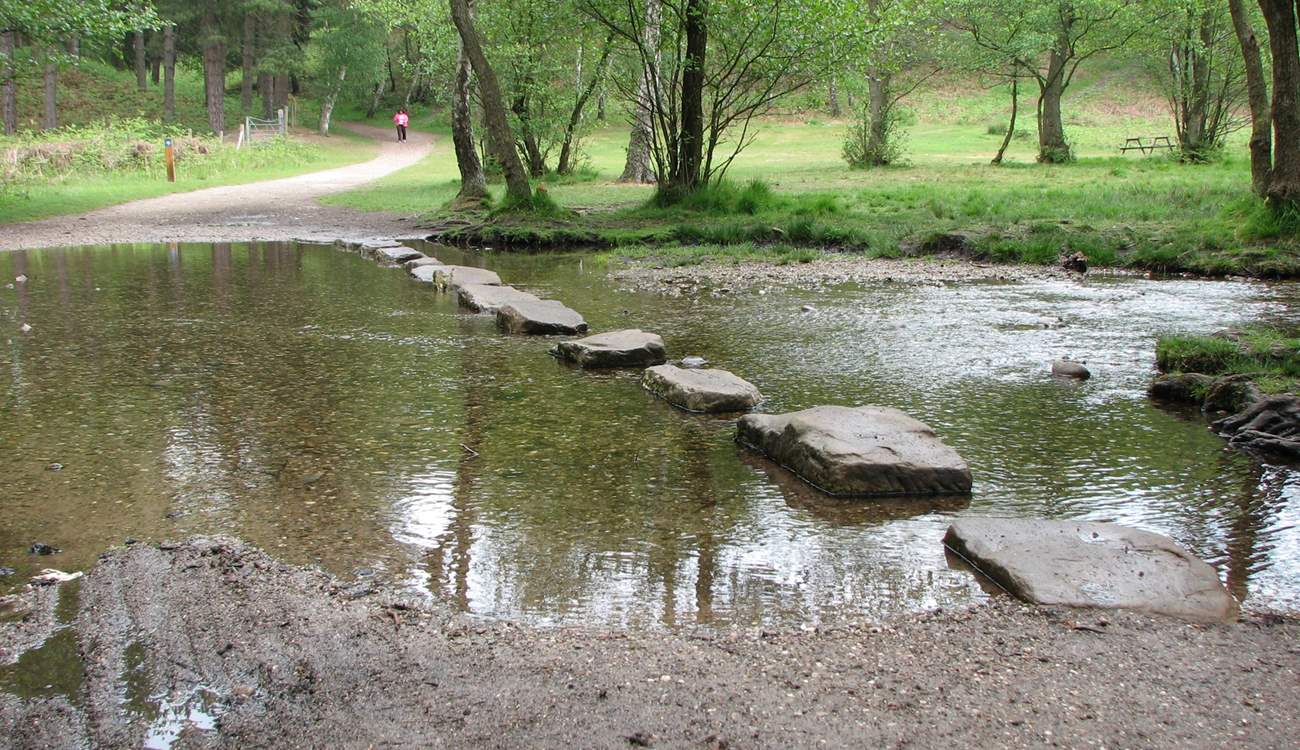 Cannock Chase offers superb walking and cycling routes in the most tranquil surroundings. 