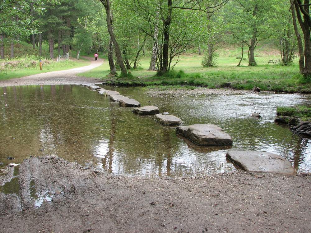 Cannock Chase offers superb walking and cycling routes in the most tranquil surroundings. 