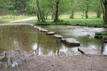 Cannock Chase offers superb walking and cycling routes in the most tranquil surroundings.