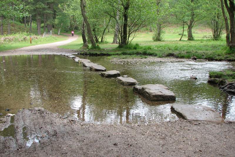 Cannock Chase offers superb walking and cycling routes in the most tranquil surroundings. 