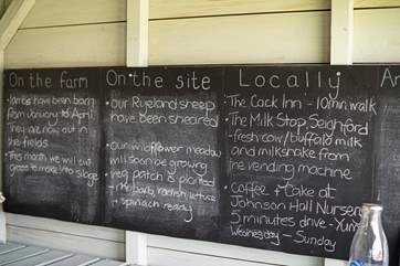 The farm in which The Potting Shed is nestled has so much charm!