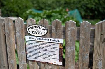 You are welcome to help yourself to the owner's homegrown veg!