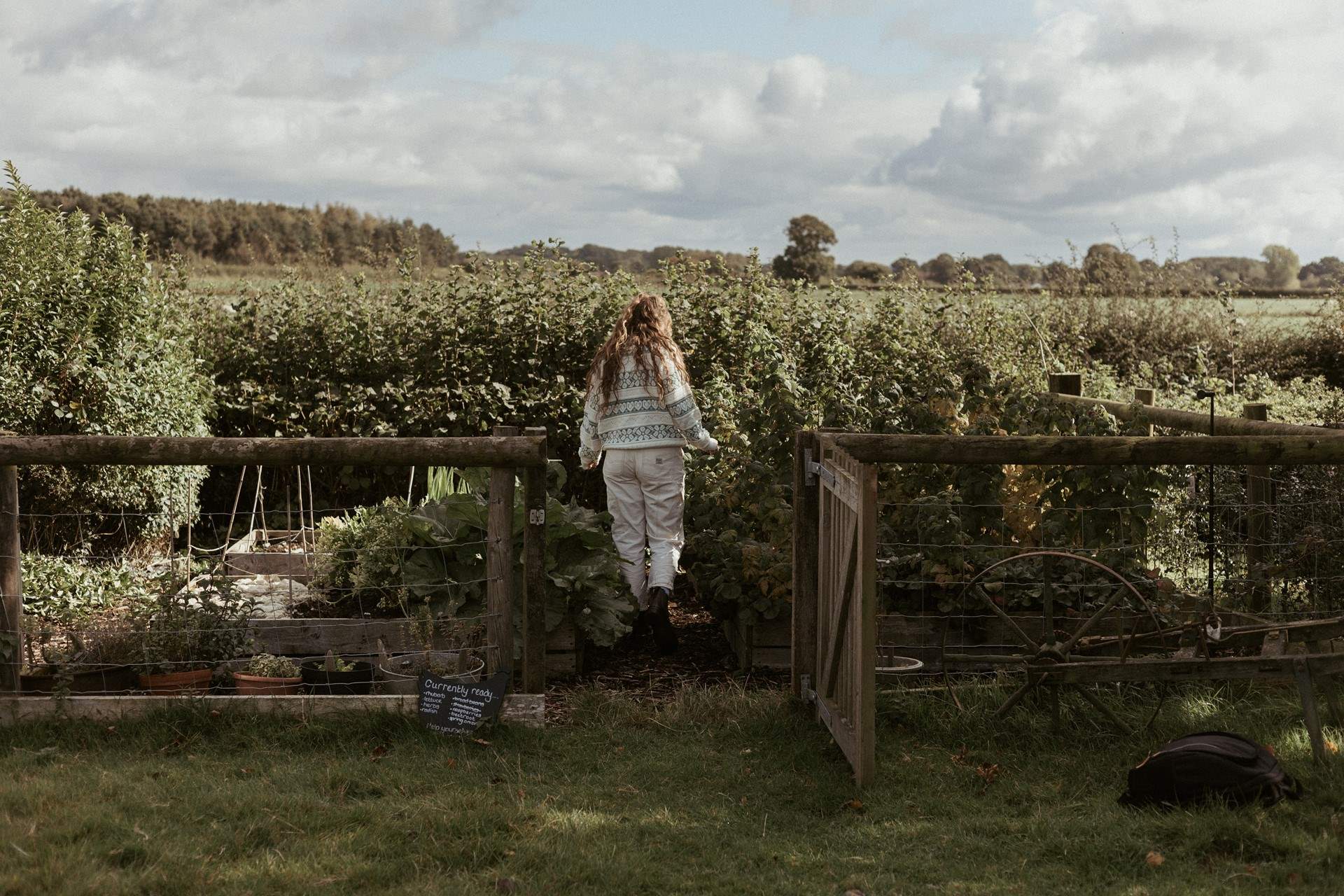 You are welcome to help yourself to the owner's homegrown veg from the veg patch.