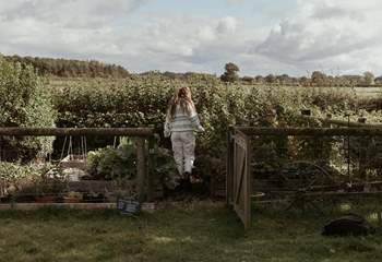 You are welcome to help yourself to the owner's homegrown veg from the veg patch.
