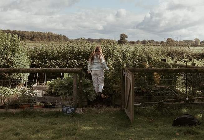 You are welcome to help yourself to the owner's homegrown veg from the veg patch.