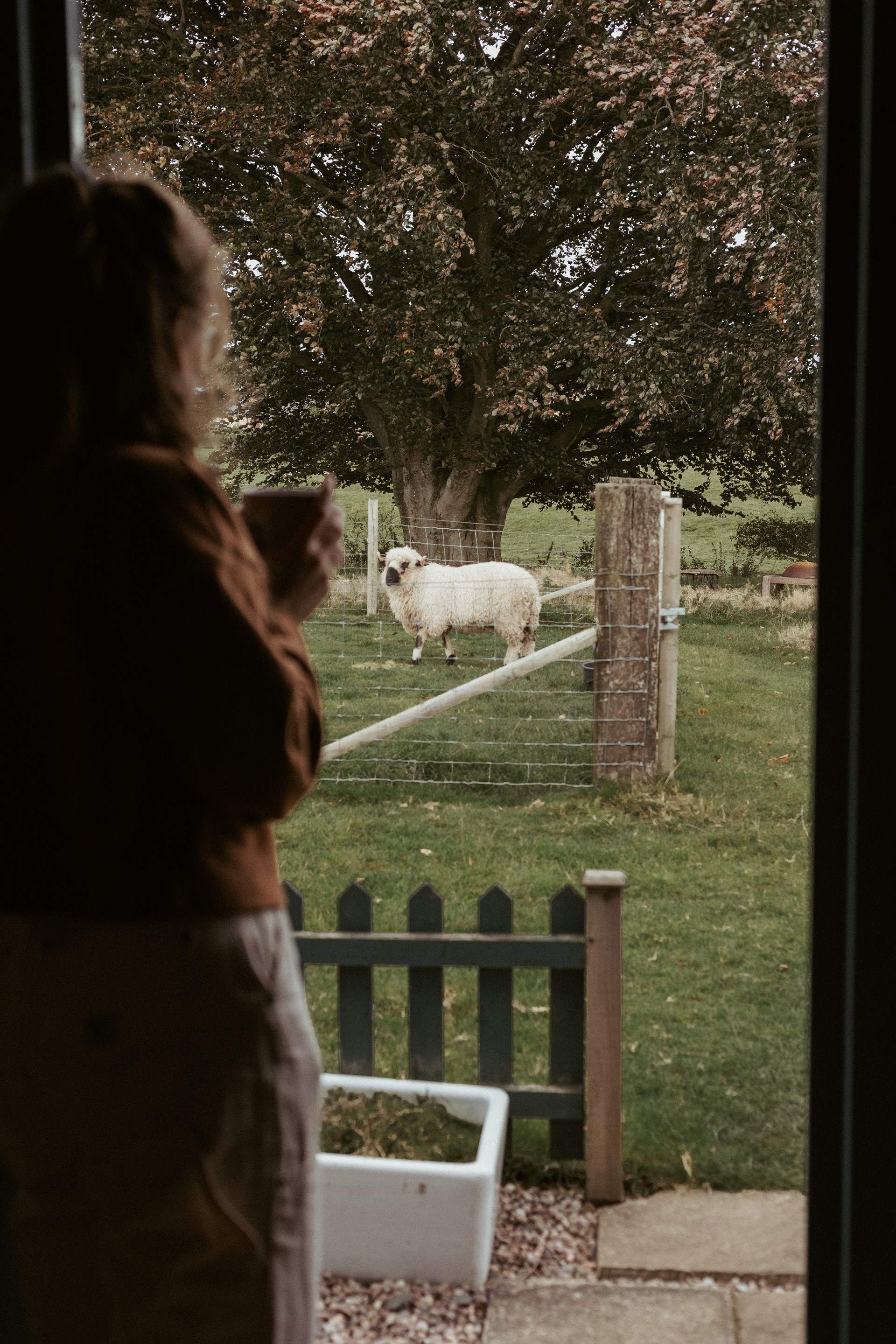 Say hello to your friendly neighbours!