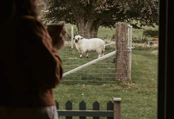 Say hello to your friendly neighbours!