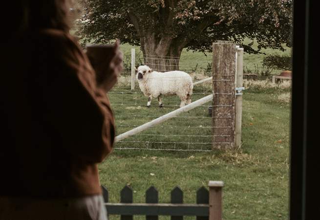 Say hello to your friendly neighbours!