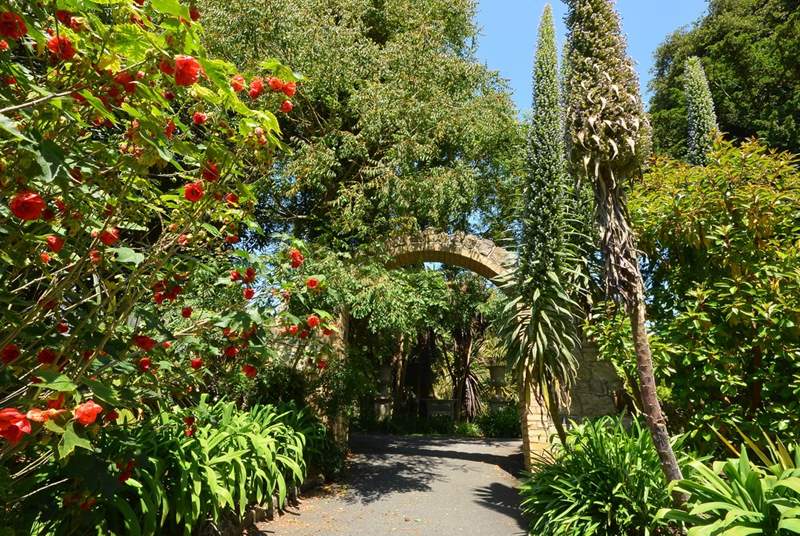 Ventnor Botanic Gardens are worth a visit at any time of year.