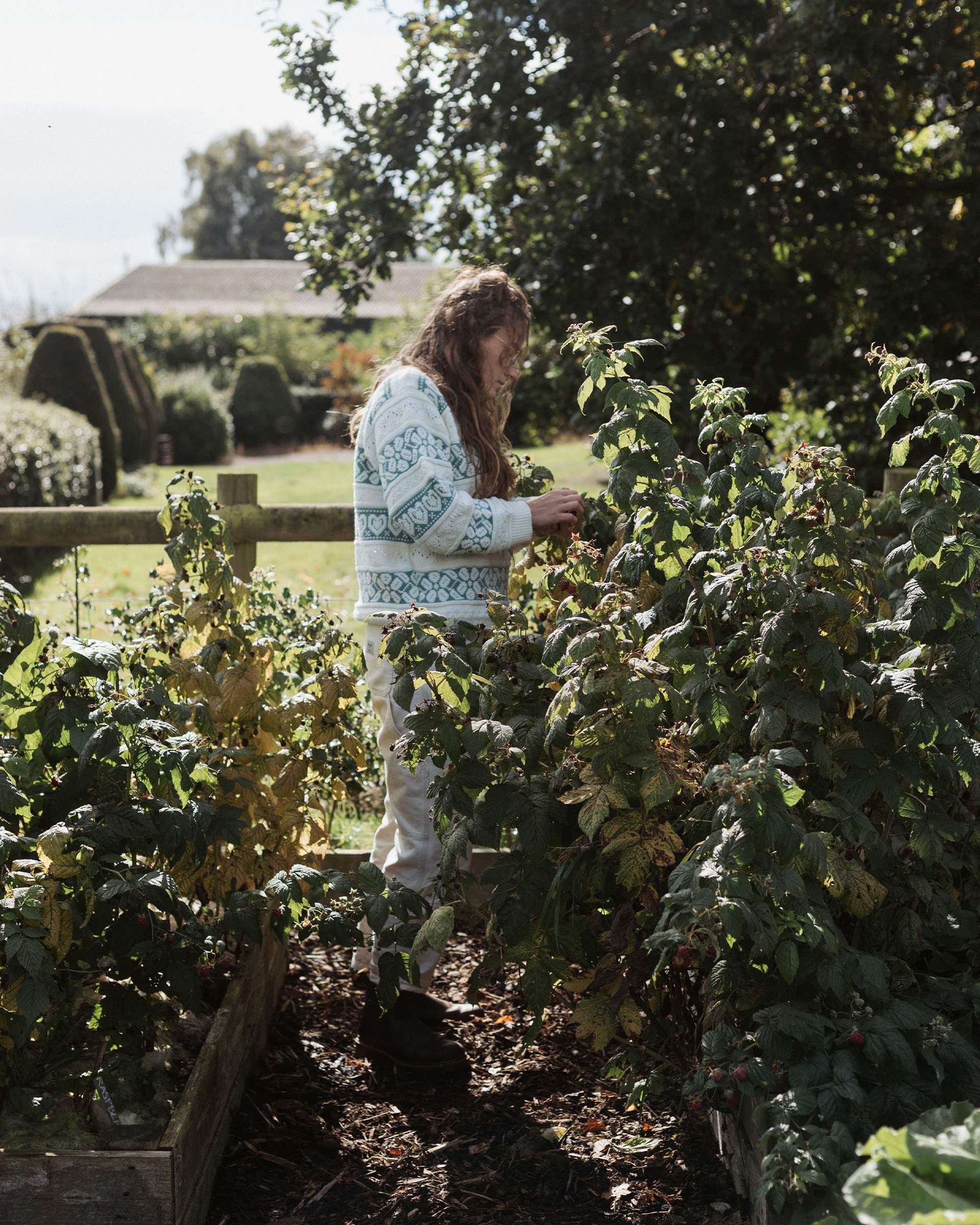Feel free to pick your own fruit and veg from the private allotment. 