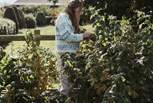 Feel free to pick your own fruit and veg from the private allotment. 