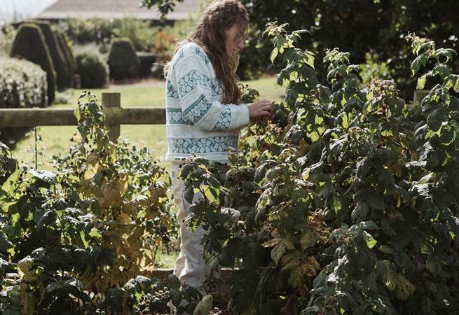 Feel free to pick your own fruit and veg from the private allotment. 