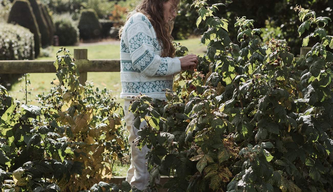 Feel free to pick your own fruit and veg from the private allotment. 
