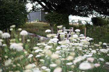 Nestled in nature. Shepherd's View really is a little slice of paradise.