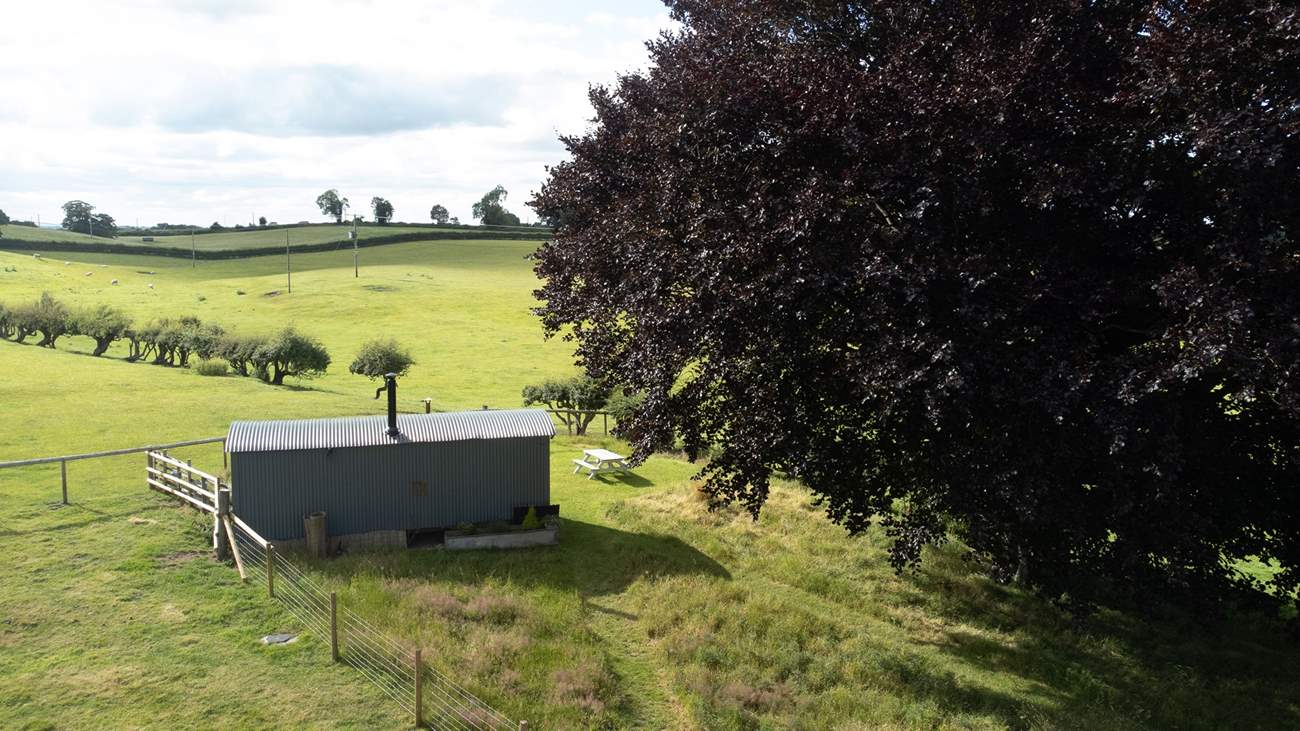 What a spot for a romantic getaway!