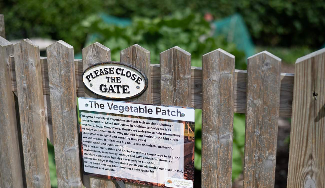 You are welcome to help yourself to the owners' homegrown veg! 