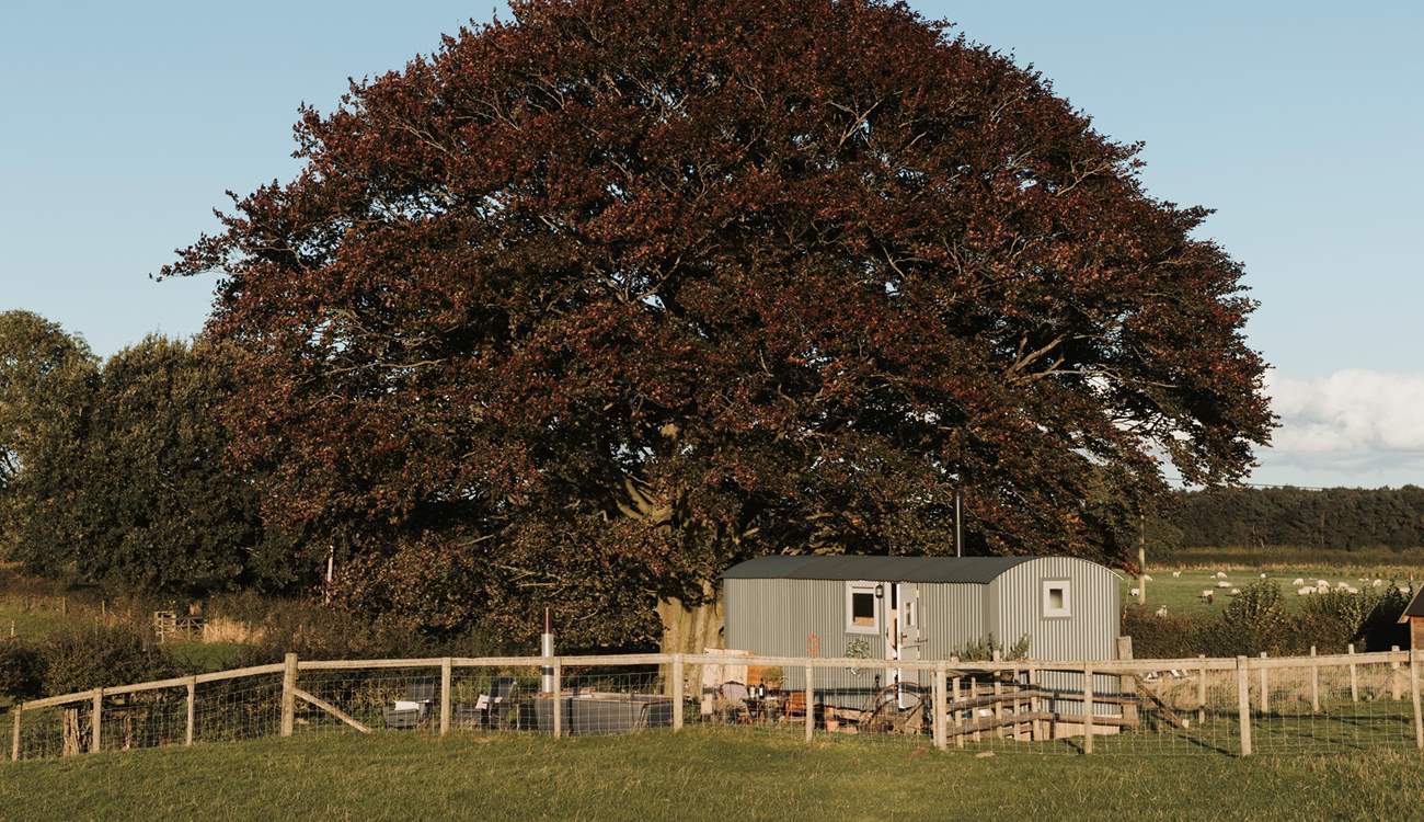 The perfect place to escape the everyday.
