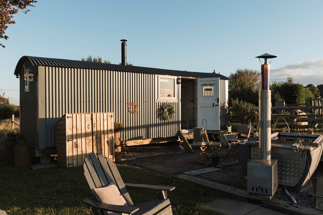 Welcome to the wonderful Shepherd's View.