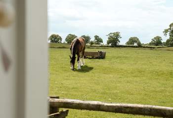 With rolling countryside on your doorstep and beautiful views in every direction.