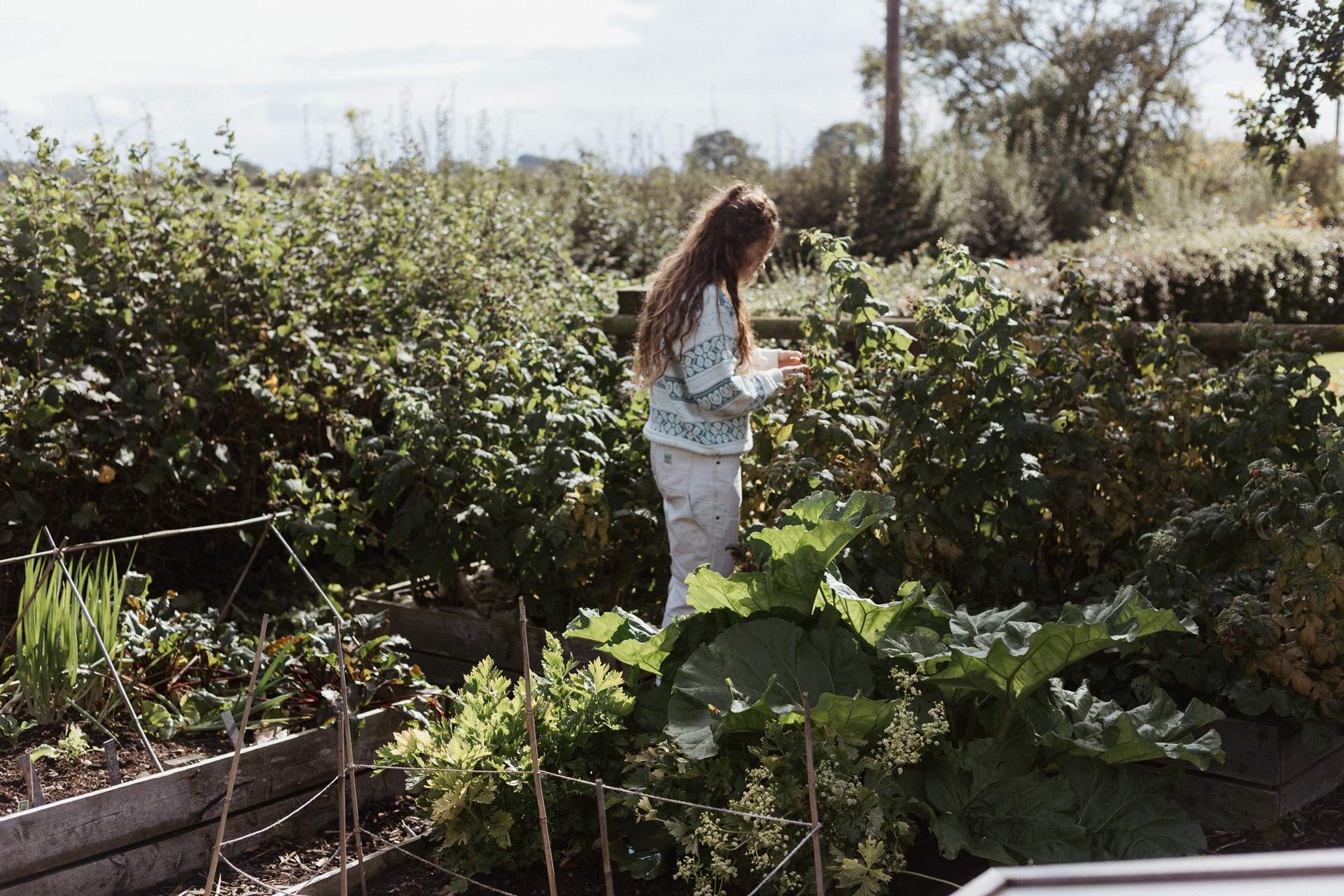 You are also welcome to help yourself to the owners' homegrown veg! 