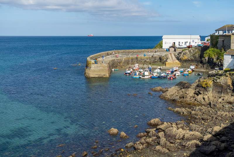 The Pretty harbour at Coverack.