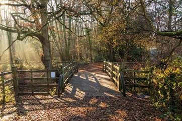 The Ashdown Forest, home of Winnie the Pooh and Pooh’s bridge.