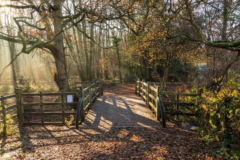 The Ashdown Forest, home of Winnie the Pooh and Pooh’s bridge.