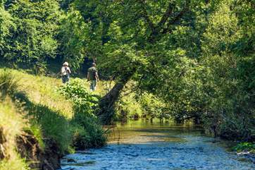 This part of Somerset has so much green space to enjoy.