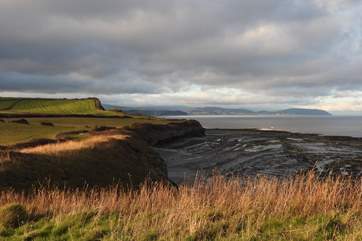 Fancy a fossil? Why not explore Kilve Beach to see what you can find.