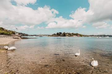 Pretty Weir beach is well worth a visit during your holiday.