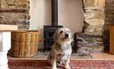 The wood-burner will keep you and your four-legged friend warm during cooler months. - Thumbnail Image