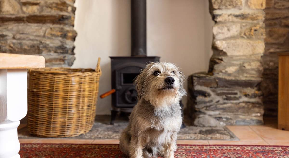 The wood-burner will keep you and your four-legged friend warm during cooler months.