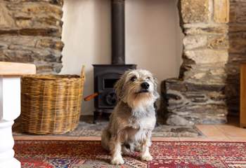 The wood-burner will keep you and your four-legged friend warm during cooler months.