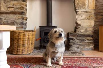 The wood-burner will keep you and your four-legged friend warm during cooler months.