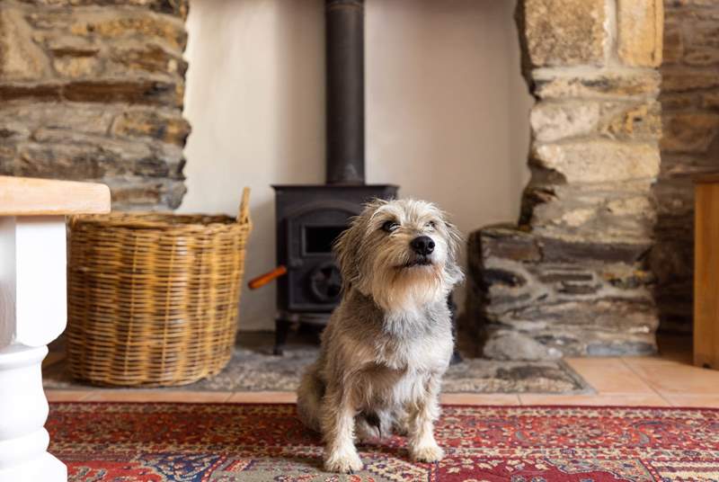 The wood-burner will keep you and your four-legged friend warm during cooler months.