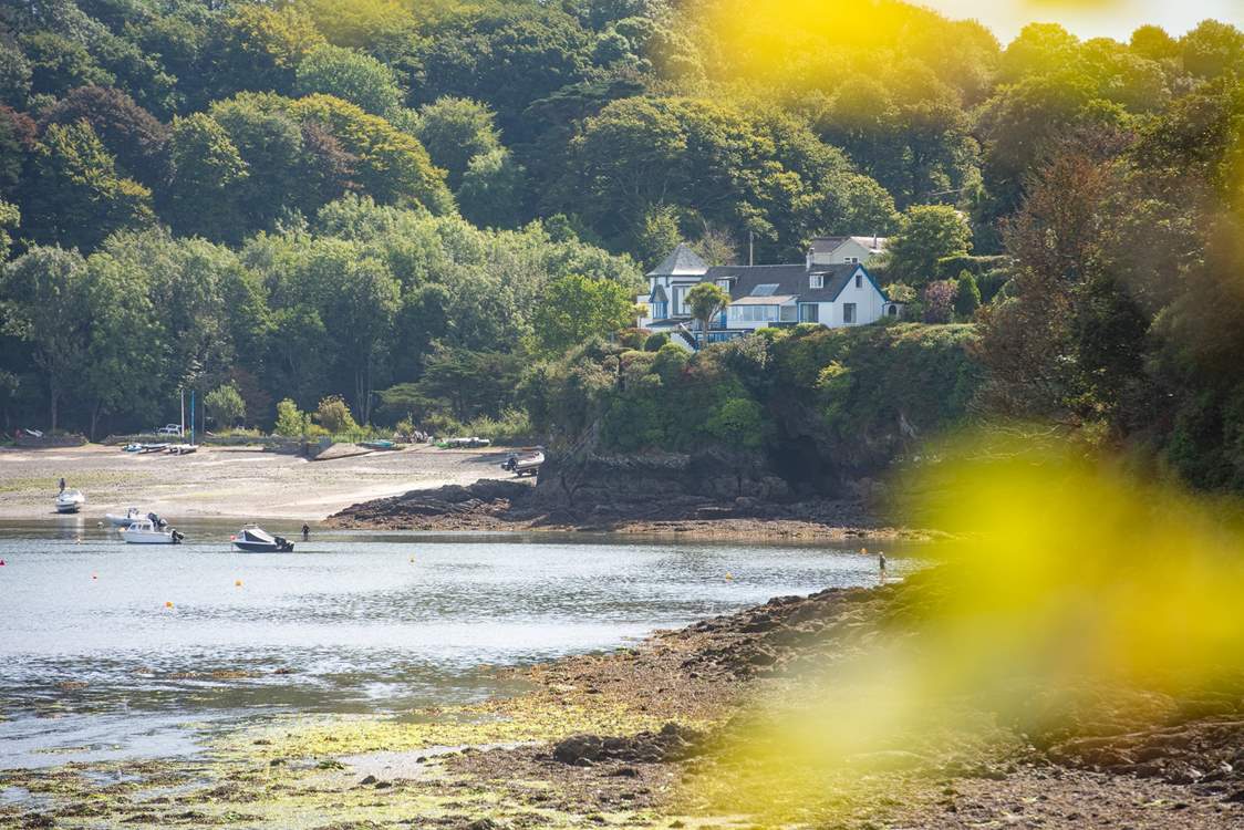 Gillan Creek is great for exploring.