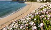 Spend a day at one of Falmouth's lovely beaches. - Thumbnail Image