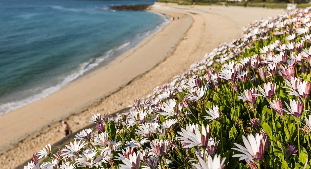 Spend a day at one of Falmouth's lovely beaches.